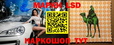 Альфа ПВП Жуковский