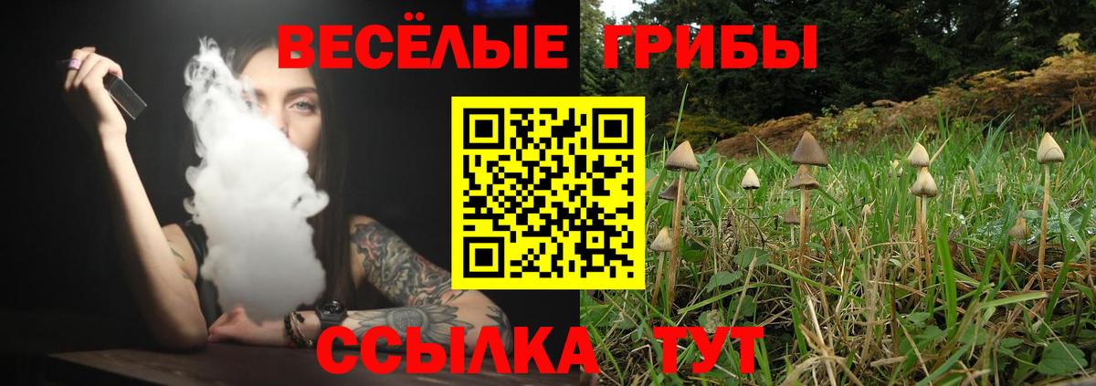 Елизово  Галлюциногенные грибы мицелий  Вход с VPN 